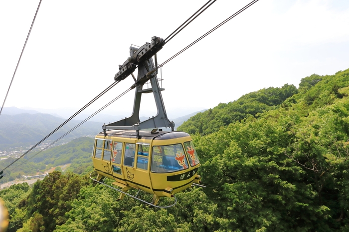 宝登山ロープウェイ イメージ