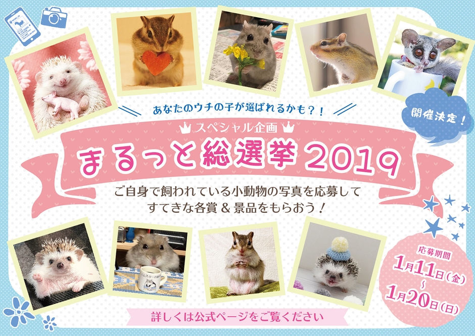 まるっと総選挙 2019 POP