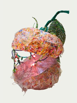 第11回リサイクルアート展 高校生の部グランプリ「ベジータTOMATO」クラブザンビア(京都先端科学大学附属高校)