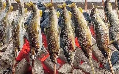 鮎の塩焼き