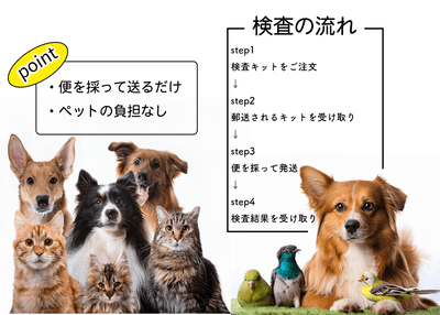 検査の流れ