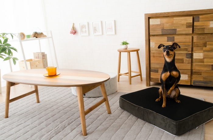 フラットベッド/ブラックときなりの2色展開