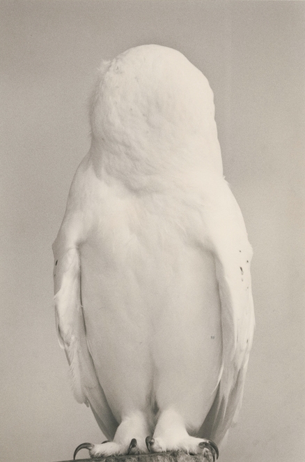 山本昌男《川 #1637》2015年 (C)Yamamoto Masao