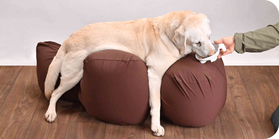 リラクッション