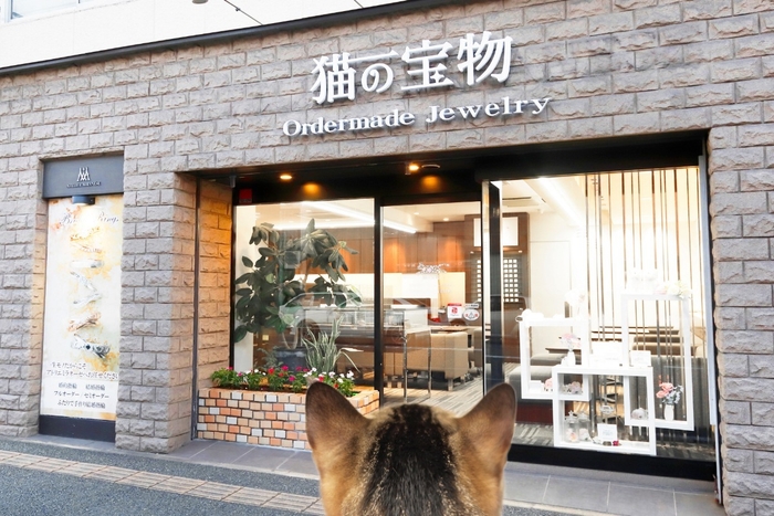 猫の日　猫好きさんの為の宝石店［猫の宝物］　外観