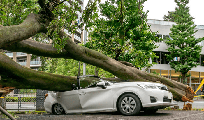 不幸に見舞われることへの考え方を検証(画像はイメージ)