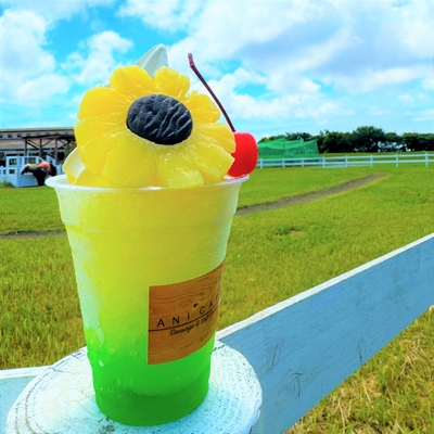 ANI CAFE_ひまわりフローズン