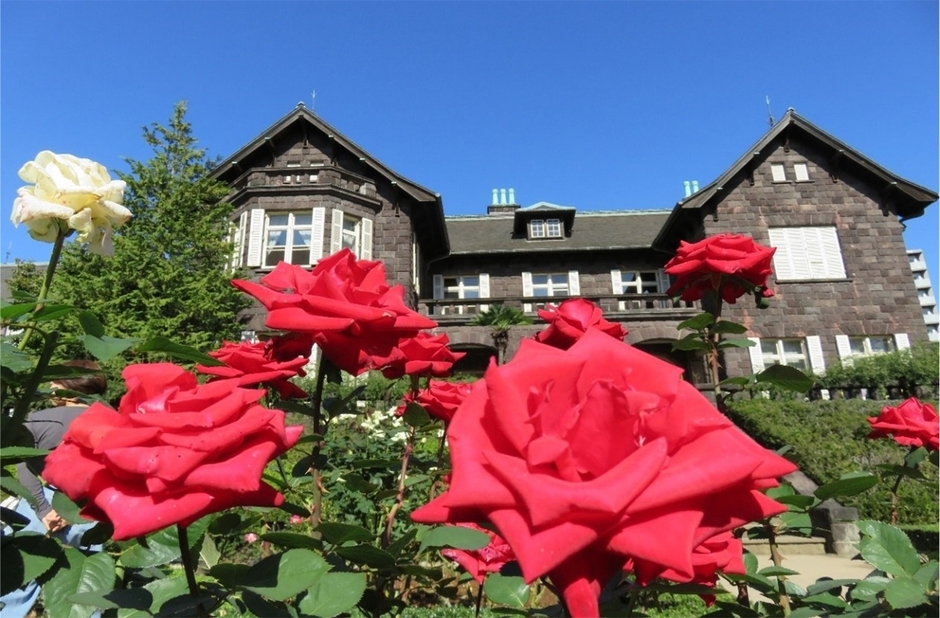 「洋風庭園に咲き誇るバラ」過去の様子