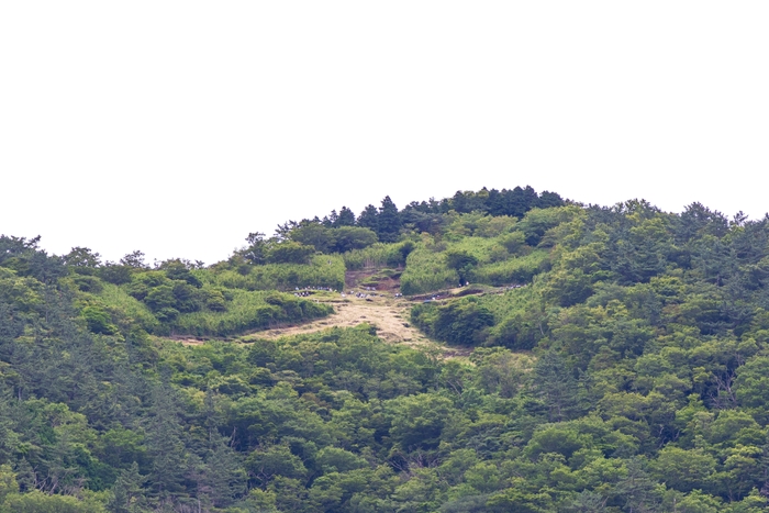 作業を明星ヶ岳の麓より