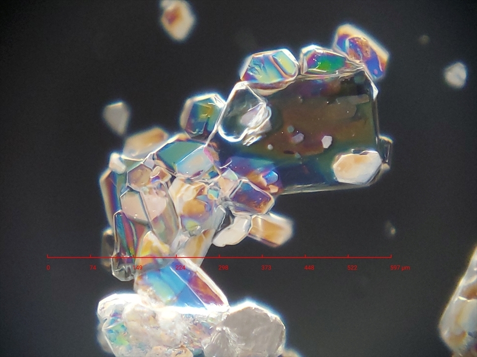 撮影例(ビタミンCの結晶)