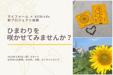 マイファームとAllbirdsが協同で気候変動を逆転させる新プロジェクト「ひまわりを咲かせてみませんか？」を3月7日開始