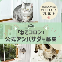 窓枠取り付け型キャットタワー「ねこゴロン」　 Instagramにて第2回公式アンバサダーの募集を開始