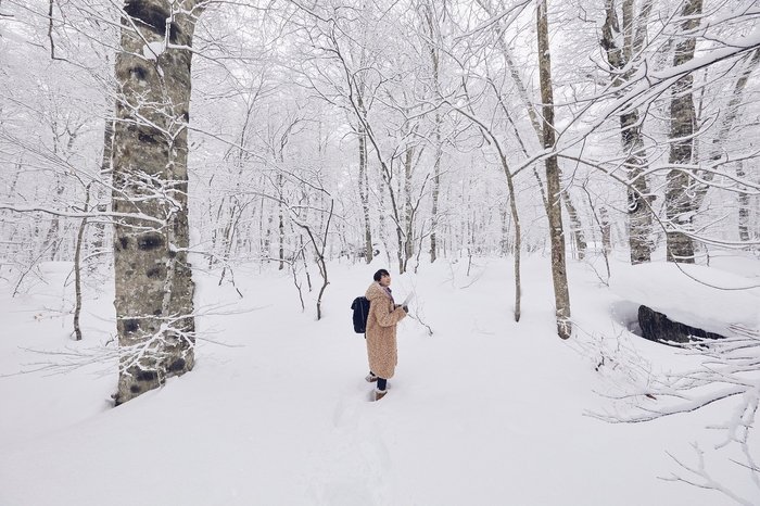 【奥入瀬渓流ホテル】迷路体験_地図あり(1)