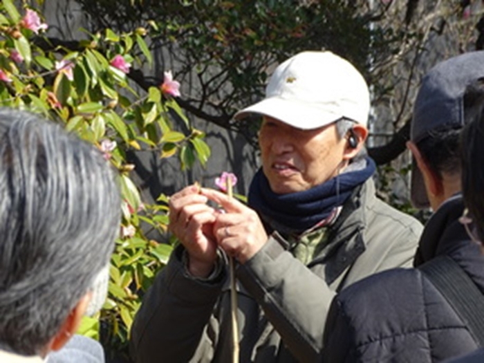 過去の「野草ウォッチング」の様子