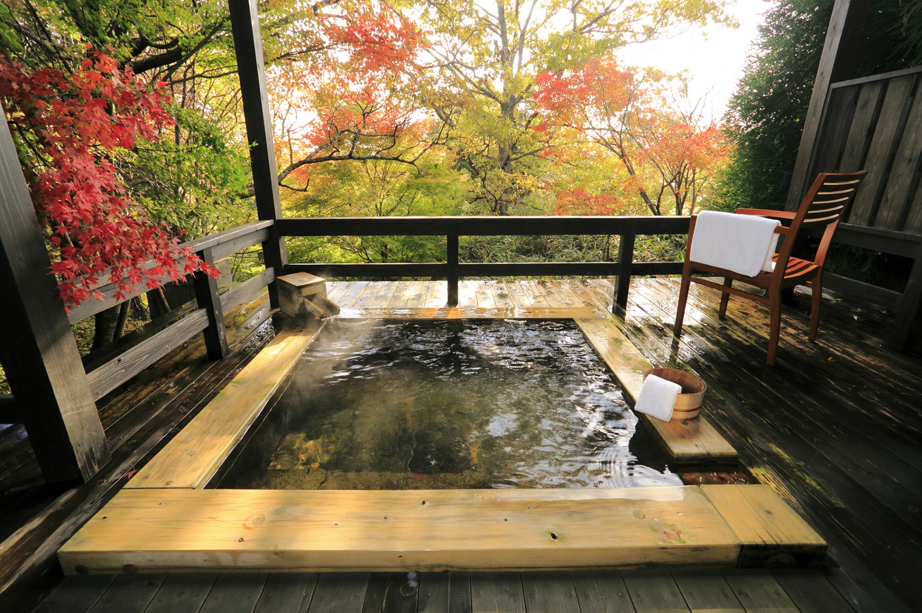 【界 阿蘇】～地元の温泉旅館で魅力を再発見、安心安全な旅～界 阿蘇「秋のマイクロツーリズム」｜情報対象期間：2020年9月1日～11月30日