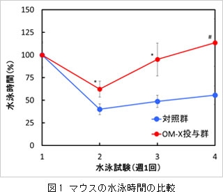 図1 マウスの水泳時間の比較