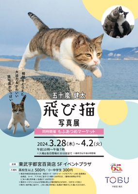 五十嵐 健太「飛び猫写真展」が3月28日(木)から 東武宇都宮百貨店で開催