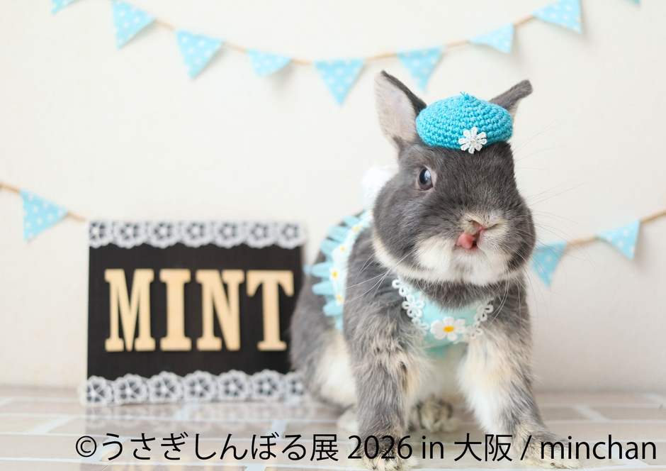 うさぎしんぼる 展示作品:minchan