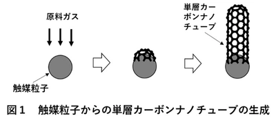 【名城大学】世界初　液相法での単層カーボンナノチューブ合成に成功