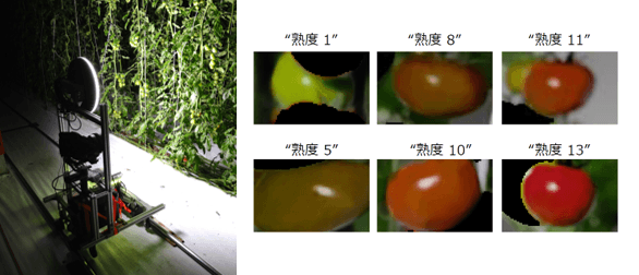 動画撮影の様子(夜間)