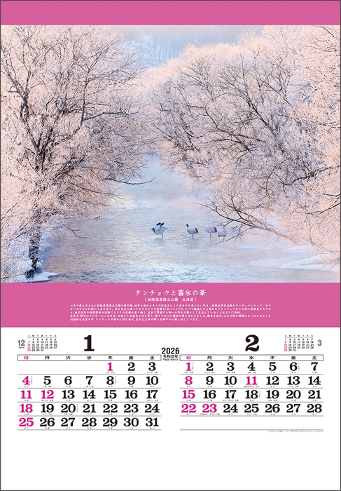 奇跡の絶景-開運を招く風景- 1-2月 タンチョウと霧氷の華(北海道)