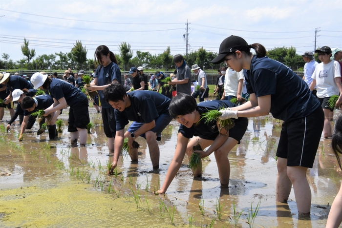 丁寧に苗を植える学生ら