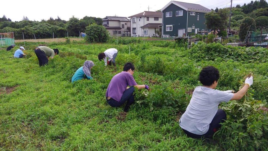 農作業イメージ