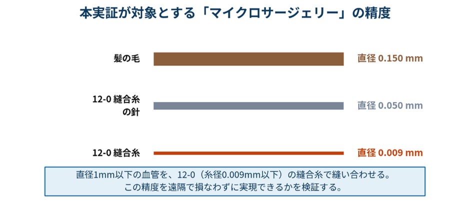 本実証が対象とする手技の精度