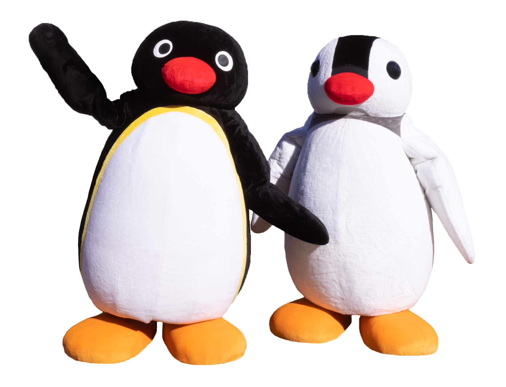 ピングー ピンガ