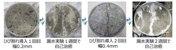 下水道インフラの健全度向上に向けた専門チームを設置