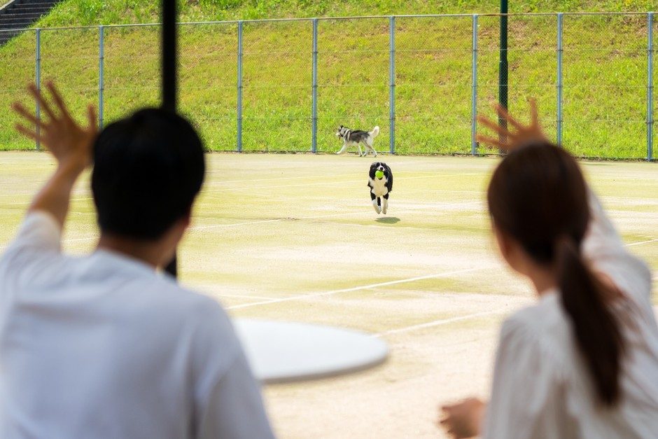 だいちラン