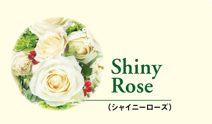 Shiny Roseイメージ