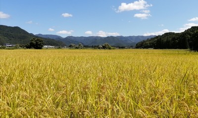 山形県高畠町和田地区