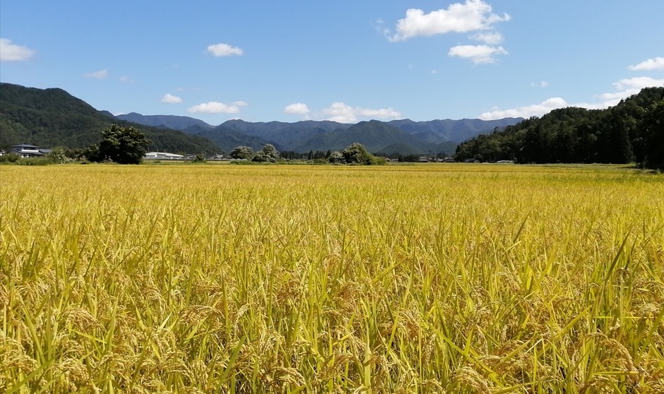 山形県高畠町和田地区
