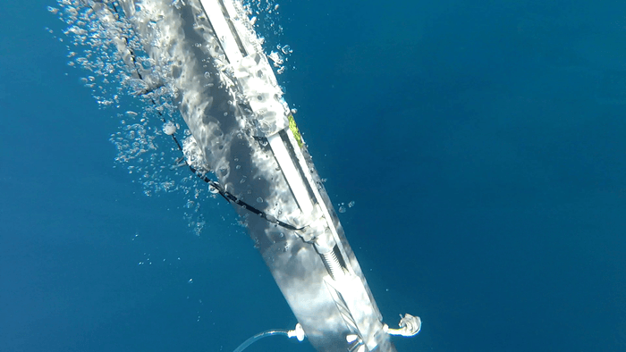 摩周湖に採水器を投入する様子