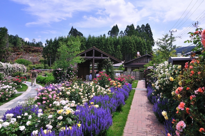 花・緑・庭で笑顔をつくった部門(プロフェッショナル)準グランプリ 株式会社CML 一級建築士事務所 居場 英則様