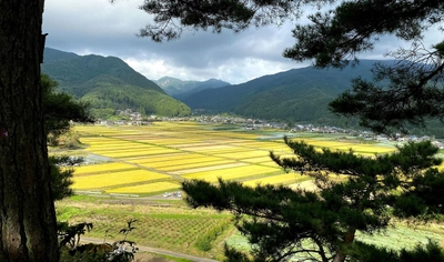 「利根沼田」が日本酒の地理的表示（GI）に指定