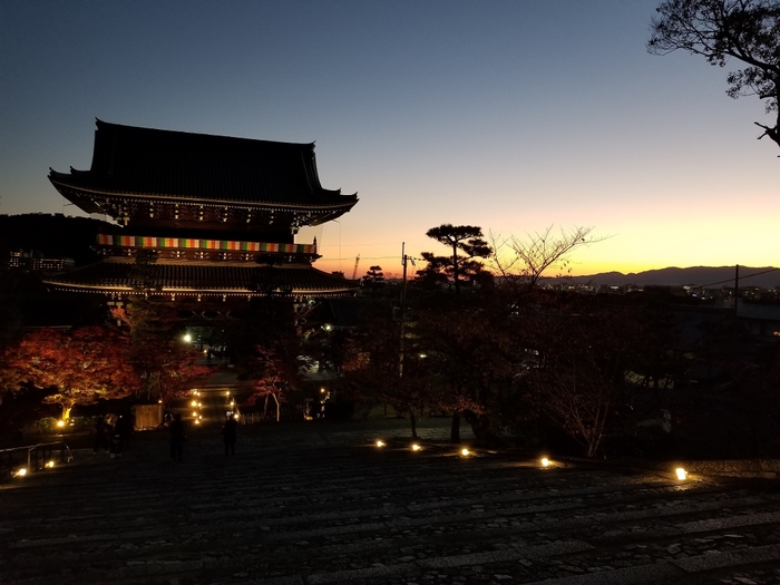 境内から眺める山門と夜景