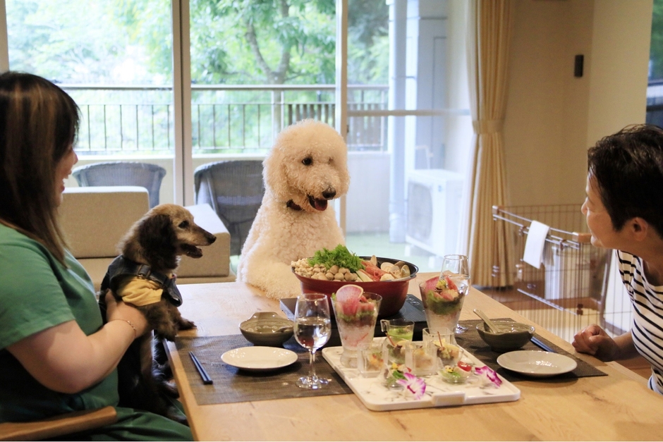 愛犬との滞在