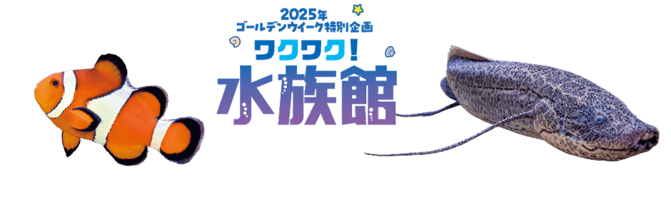 ワクワク!水族館
