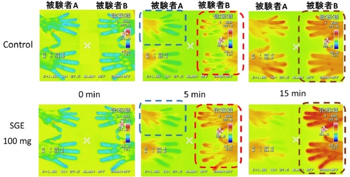 図3.ストロベリーグアバエキス（SGE）単回摂取による低温負荷からの皮膚表面温度の回復促進作用