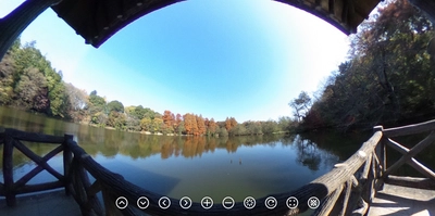 【石神井公園】360度カメラで撮影したパークビューを公開