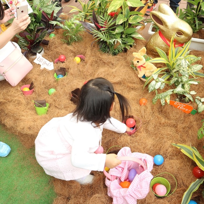 エッグハント体験 イメージ