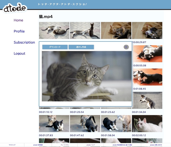 スクリーンショットダウンロード画面
