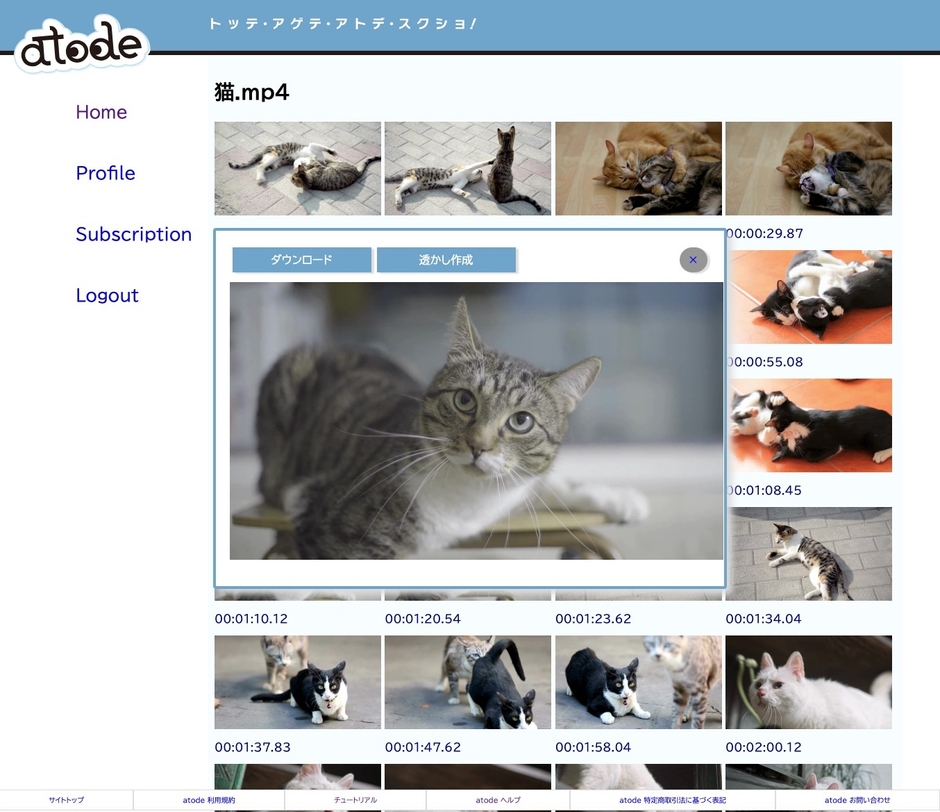 スクリーンショットダウンロード画面