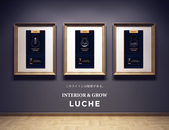 INTERIOR & GROW LUCHE