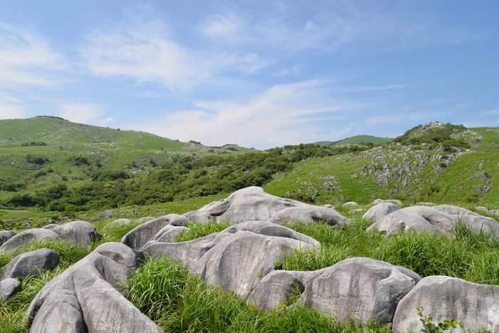 日本有数のカルスト台地「平尾台」