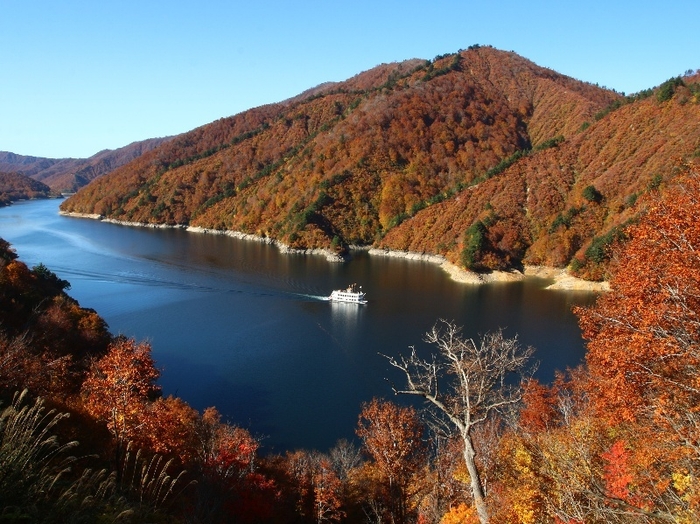 奥只見湖紅葉(全景)