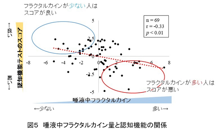 図5 唾液中フラクタルカイン量と認知機能の関係