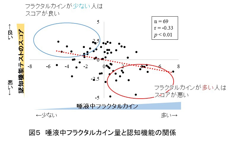 図5　唾液中フラクタルカイン量と認知機能の関係